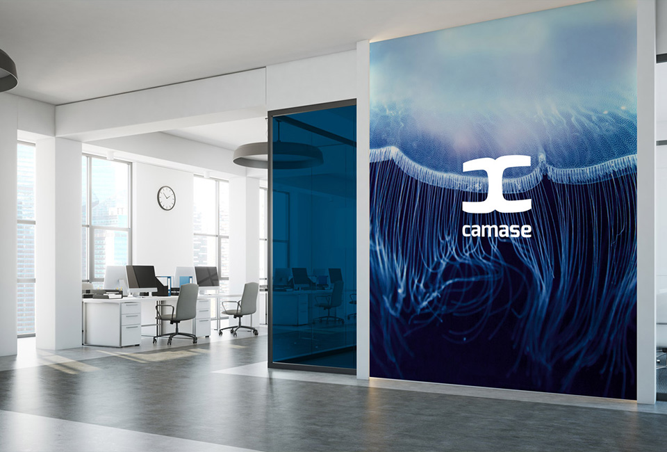camase logo design branding webdesign