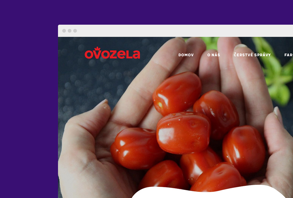 ovozela webdesign